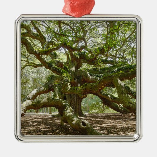 Mighty Angel Oak Silbernes Ornament (Vorne)