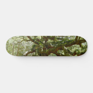 Mighty Angel Oak Skateboard