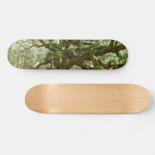Mighty Angel Oak Skateboard (Horizontal)