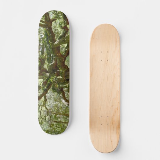 Mighty Angel Oak Skateboard (Vorderseite)