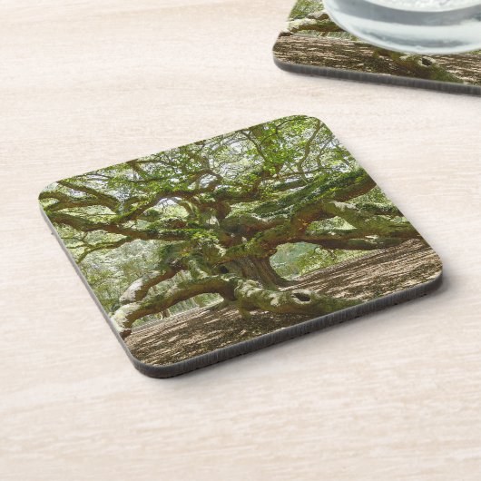 Mighty Angel Oak Untersetzer (Linke Seite)
