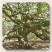 Mighty Angel Oak Untersetzer (Vorderseite)