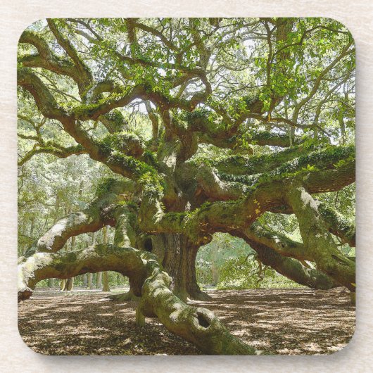 Mighty Angel Oak Untersetzer (Vorderseite)