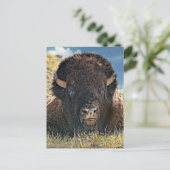 Mighty Bison Postkarten (Stehend Vorderseite)
