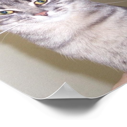 Mighty Feline, töricht... Poster (Ecke)