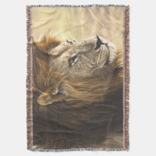 Mighty Lion Decke (Vorderseite Vertikal)