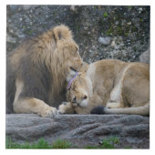 Mighty Lion Liebe Fliese (Vorderseite)