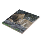 Mighty Lion Liebe Fliese (Seite)