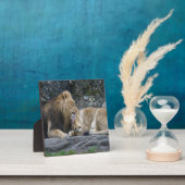 Mighty Lion Liebe Fotoplatte (InSitu)