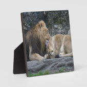 Mighty Lion Liebe Fotoplatte (Vorderseite)