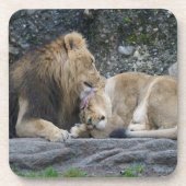 Mighty Lion Liebe Getränkeuntersetzer (Vorderseite)