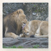 Mighty Lion Liebe Glasuntersetzer (Vorderseite)