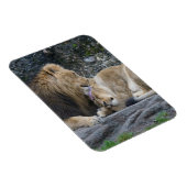 Mighty Lion Liebe Magnet (Rechte Seite)