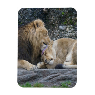 Mighty Lion Liebe Magnet