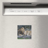 Mighty Lion Liebe Magnet (In Situ (Geschirrspüler))
