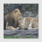 Mighty Lion Liebe Magnetkarte (Vorderseite)