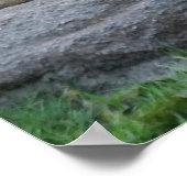 Mighty Lion Liebe Poster (Ecke)