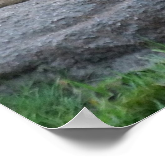 Mighty Lion Liebe Poster (Ecke)