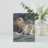 Mighty Lion Liebe Postkarte (Stehend Vorderseite)