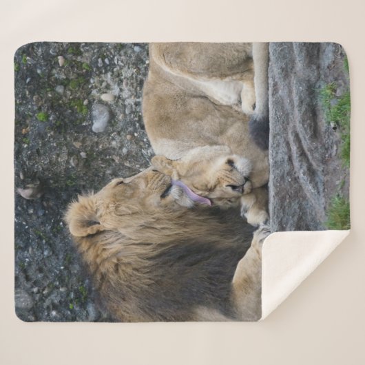 Mighty Lion Liebe Sherpadecke (Vorderseite (Horizontal))
