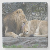 Mighty Lion Liebe Steinuntersetzer (Vorderseite)