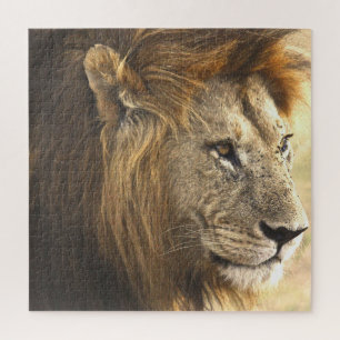 Mighty Lion Puzzle