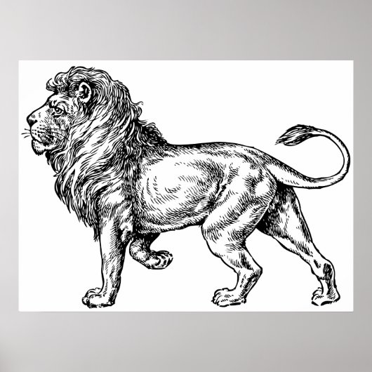 Mighty Lion Sketch Poster (Vorne)