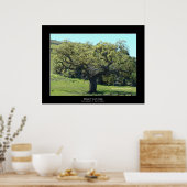 "Mighty Live Oak" Poster (Küche)