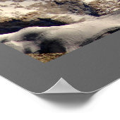 Mighty Makalu Poster (Ecke)