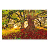 Mighty Oak Fotodruck (Vorne)