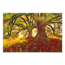 Mighty Oak Fotodruck