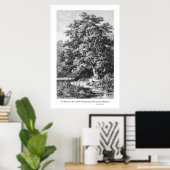 Mighty Oak Tree Inspirational Black & White Poster (Heimbüro)