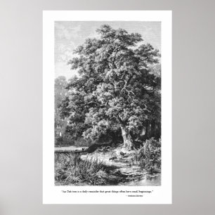 Mighty Oak Tree Inspirational Black & White Poster