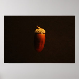 Mighty Oak Wapcc Poster