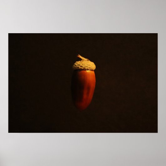 Mighty Oak Wapcn Poster (Vorne)