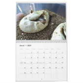 MightyMorphs Kalender (Mär 2027)