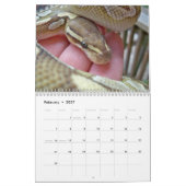MightyMorphs Kalender (Feb 2027)