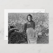 MigrantIn neben einem Baumwollfeld Postkarte (Vorne/Hinten)