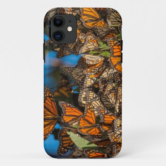 Migrating monarch butterflies cling to leaves Case-Mate iPhone hülle (Rückseite)