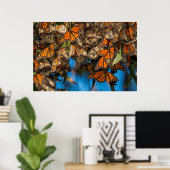 Migrating monarch butterflies cling to leaves poster (Heimbüro)