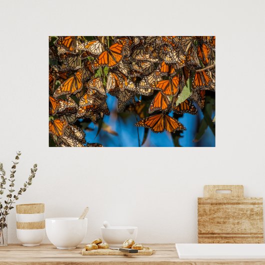 Migrating monarch butterflies cling to leaves poster (Küche)