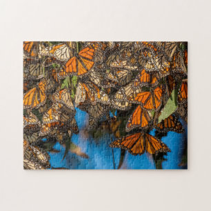 Migrating monarch butterflies cling to leaves puzzle