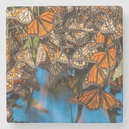 Migrating monarch butterflies cling to leaves steinuntersetzer (Vorderseite)