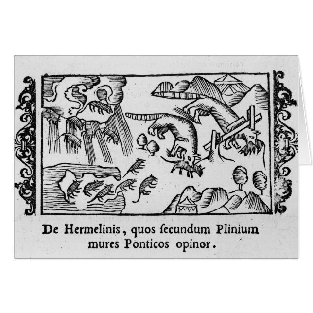 Migration der Lemminge (Vorderseite (Horizontal))