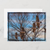 MIgration Postkarte (Vorne/Hinten)