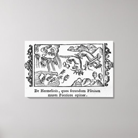 Migration von Lemmingen Leinwanddruck (Vorderseite)