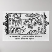 Migration von Lemmingen Poster (Vorne)