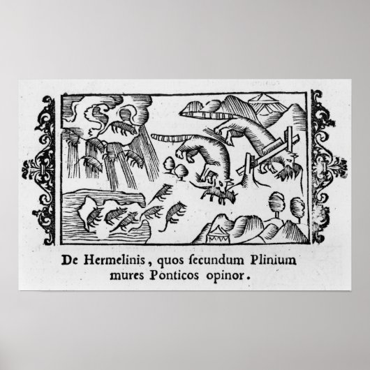 Migration von Lemmingen Poster (Vorne)