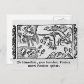 Migration von Lemmingen Postkarte (Vorne/Hinten)