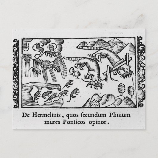 Migration von Lemmingen Postkarte (Vorderseite)